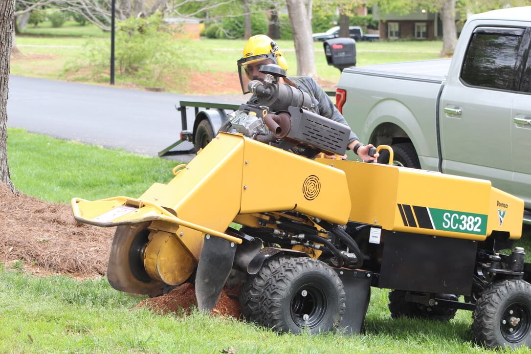 Professional Stump Grinding Service in Matthews, NC